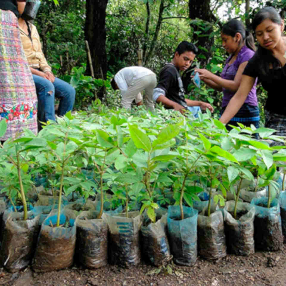 Enviromental Health and Sanitation Program